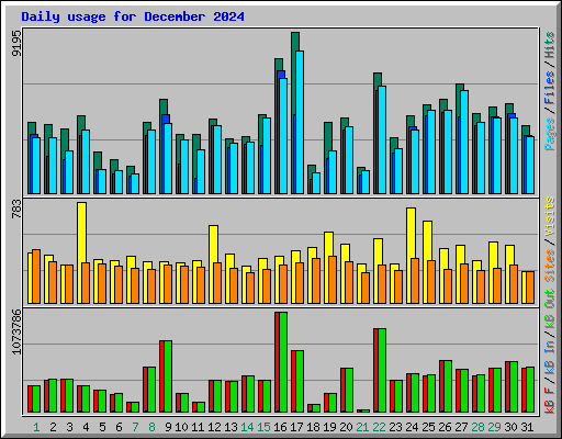 Daily usage for December 2024