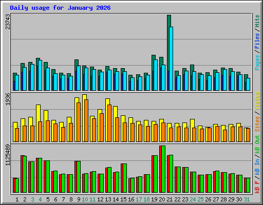 Daily usage for January 2026