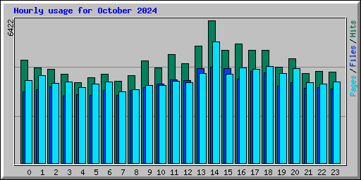 Hourly usage for October 2024