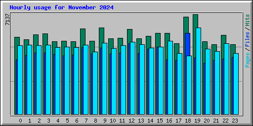 Hourly usage for November 2024