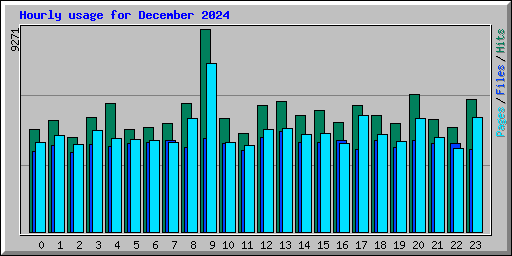 Hourly usage for December 2024