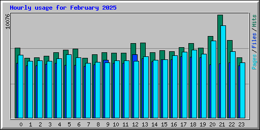 Hourly usage for February 2025