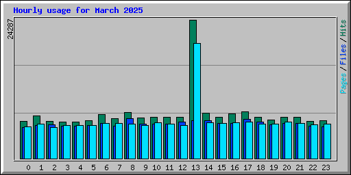 Hourly usage for March 2025