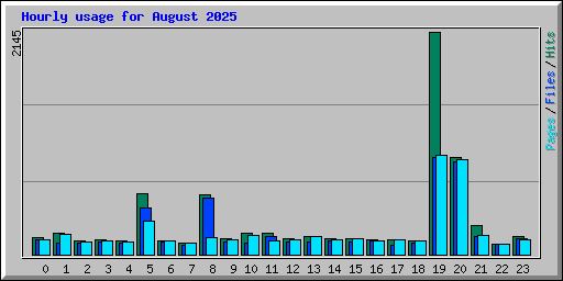 Hourly usage for August 2025