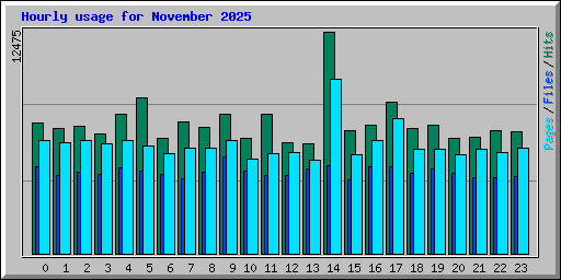 Hourly usage for November 2025